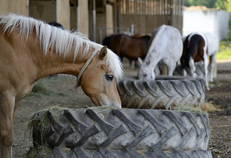 Decluttering the Kitchen: How to Properly Dispose of Cookware